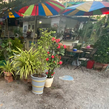 My current shop. It’s not on a highway, but the relaxing atmosphere brings regular customers back every day.