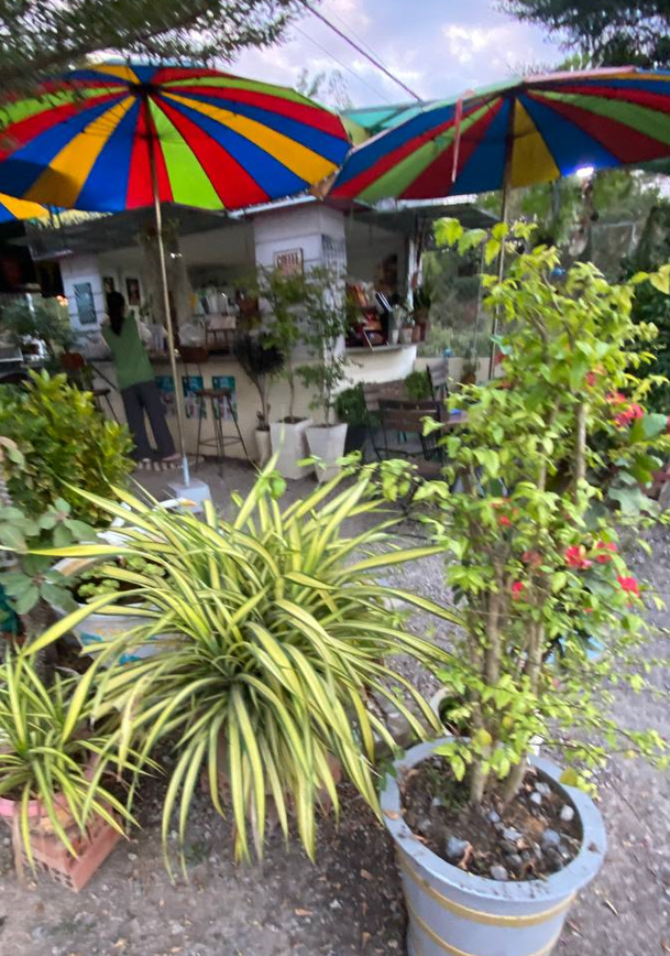 Behind the counter: My setup is simple, but it allows me to focus on quality and speed for my regulars.