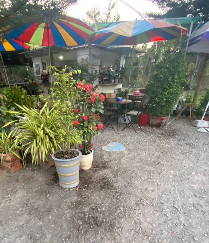 Outdoor seating area with colorful umbrellas at The Press Day Coffee