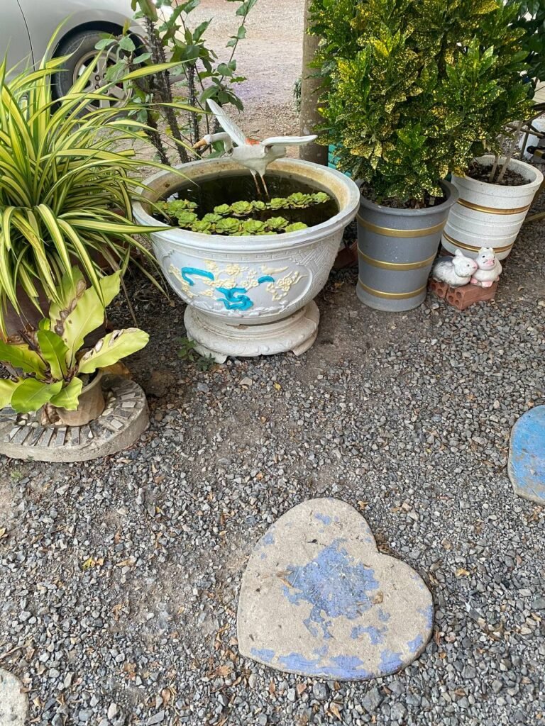 Decorative water pot and garden plants at The Press Day Coffee creating a relaxing atmosphere